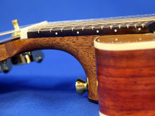 Load image into Gallery viewer, Paduak with Cedar Atto Steel String Guitar Gallery ATM 2.1.64